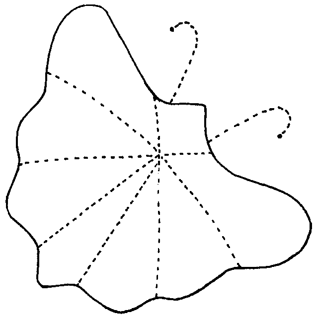Butterfly Applique