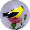 Goldfinch Ball