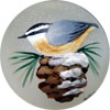 Red-breasted Nuthatch Ball