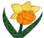 Daffodil motif